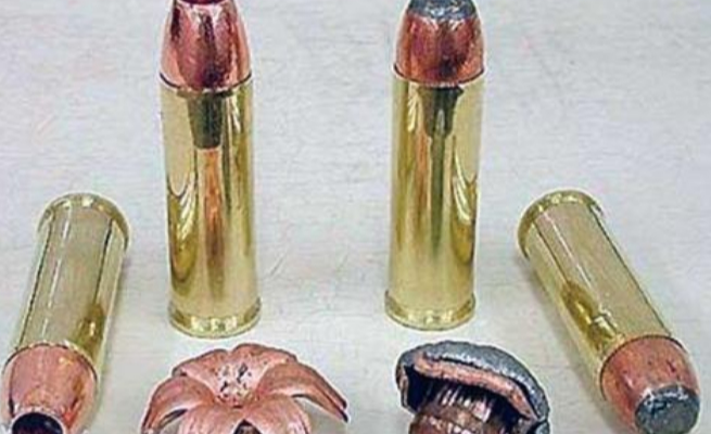 河南|河南老人钓到一“乌龟”，壳上插4箭，专家：一竿钓了18亿