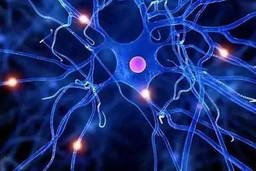 人类想要永远长寿的愿望,并非天方夜谭,人类体内基因还未被完全挖掘