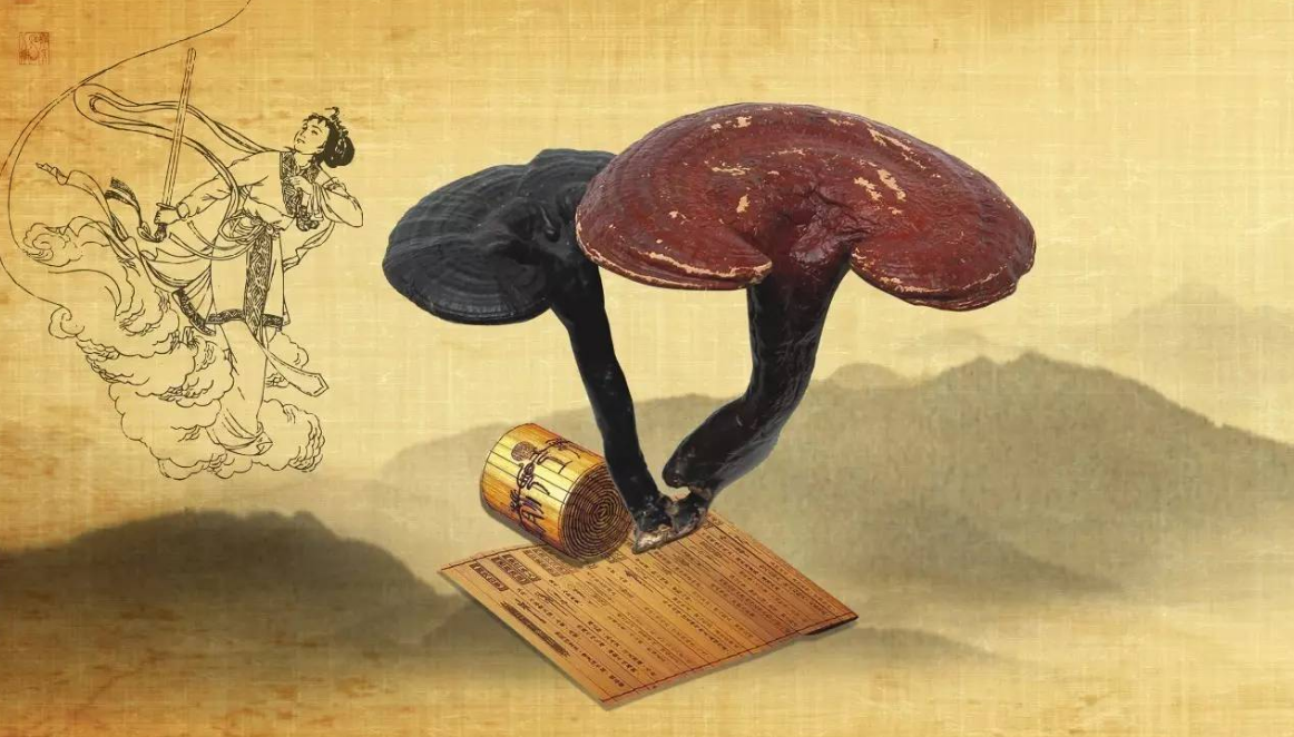 肝损伤|一天一把芹菜,43岁女子因失眠住院,医生:无知,神经已“千疮百孔”