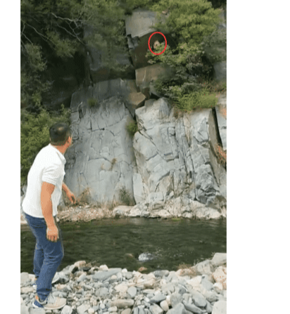 “我发现一个巨型马蜂窝，用石头扔了两下，没想到啊”