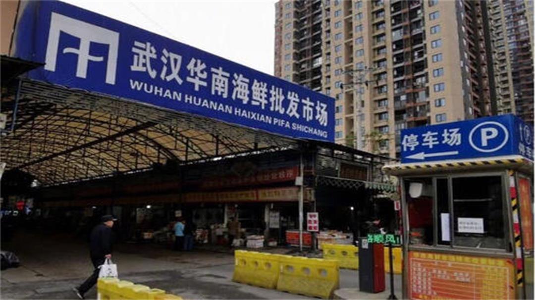 全球防务评鉴 华南海鲜市场起着重要作用？世卫专家获重大发现，这趟武汉没白来！
