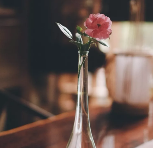 诚然命理|吃亏，是不是福？看完就知道