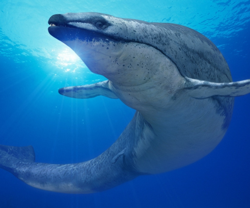 恐龙 八大称霸同类巨型史前动物