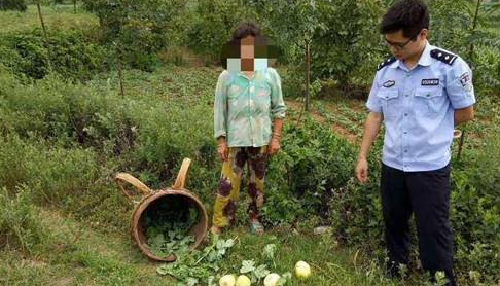 上海市 宁波女子偷瓜被追赶落水身亡,家属索赔13万,法院判决还社会公道