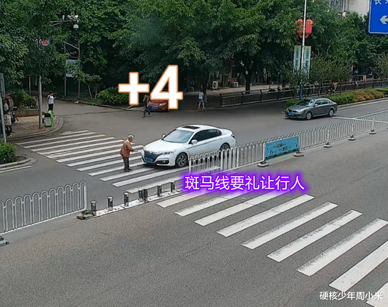 广州:司机未礼让斑马线惹怒行人,女子坐在引擎盖上不走了