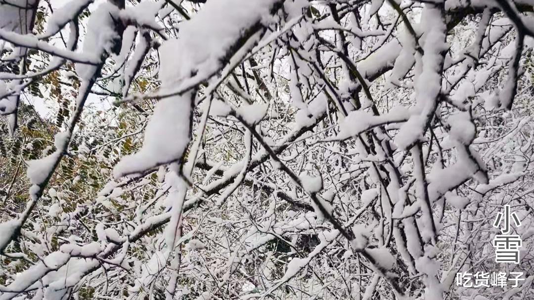 香蕉|小雪过后，老妈总是叮嘱我：“吃4物做3事”，顺应节气安稳度寒冬