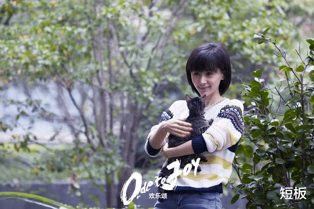 刘涛|《欢乐颂3》大换血，杨紫刘涛被取代，看到女主后，熬夜也要追