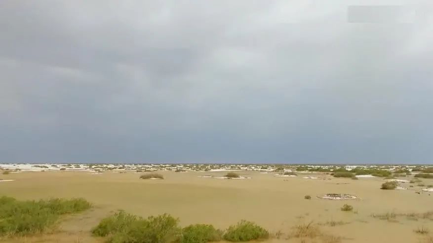 塔克拉玛干沙漠 沙漠突发洪水，百年难遇，受何影响？地球气候改变了什么？