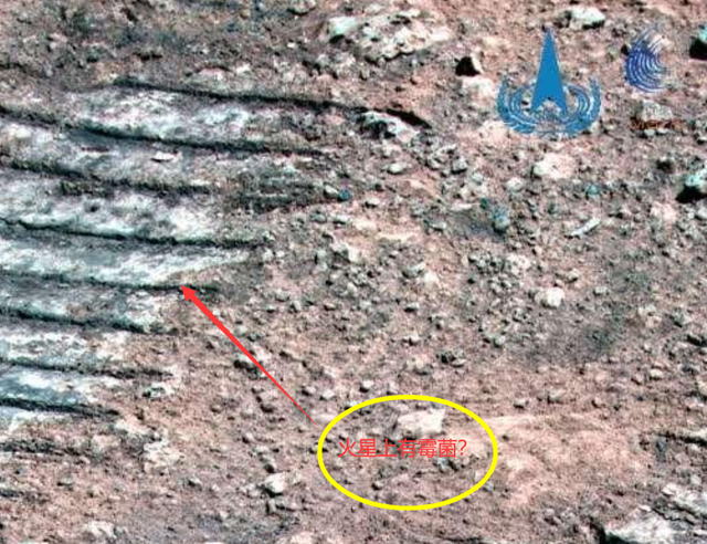 空间站 祝融号传回火星照片，岩石上有像“霉菌”的东西，有生命存在吗？
