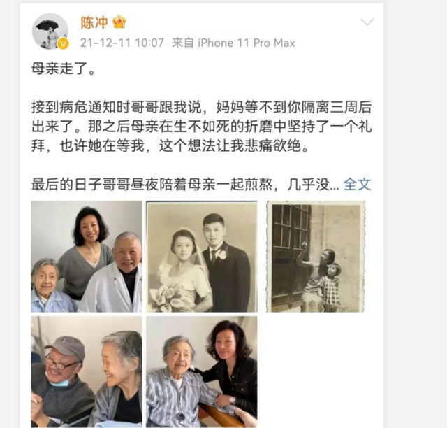 陈冲|著名影星、导演陈冲发文透露母亲逝世消息