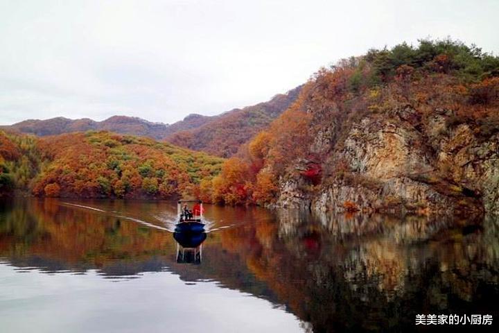 辽宁省|辽宁一军工厂，占地面积大建立在山洞里，还在洞里种茶，代号641