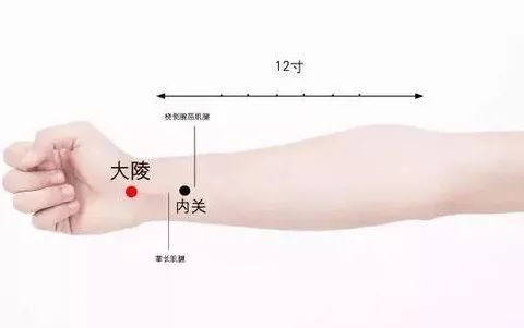 小手氷凉|预防中秋病，中秋节养生9大要点 千万别踩黄线走！