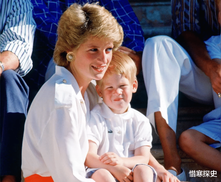 威廉王子|直击戴安娜王妃葬礼现场：16岁的威廉王子眼露仇恨，女王面带微笑