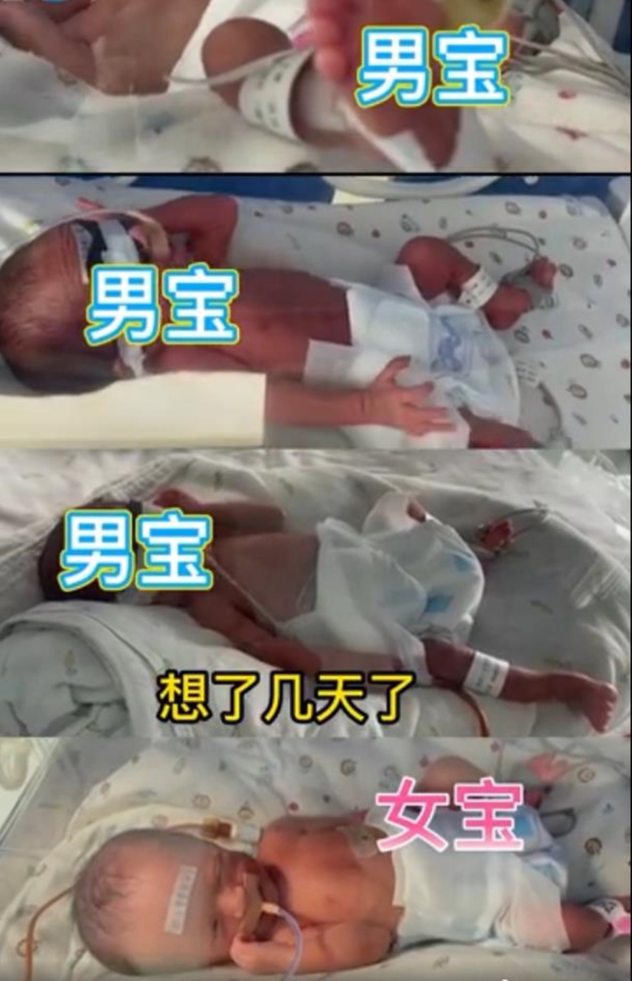 贝贝豆育儿课堂|河南四胞胎孕妈“搏命”产子，原以为全是祝福，评论区却恶意满满