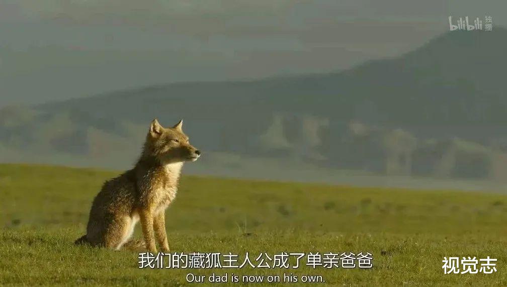 视觉志|令人羡慕的爱情，都违背了天性