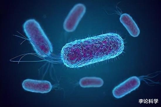 操控其他生物,占人体细胞数的90%,谁才是地球的主人?