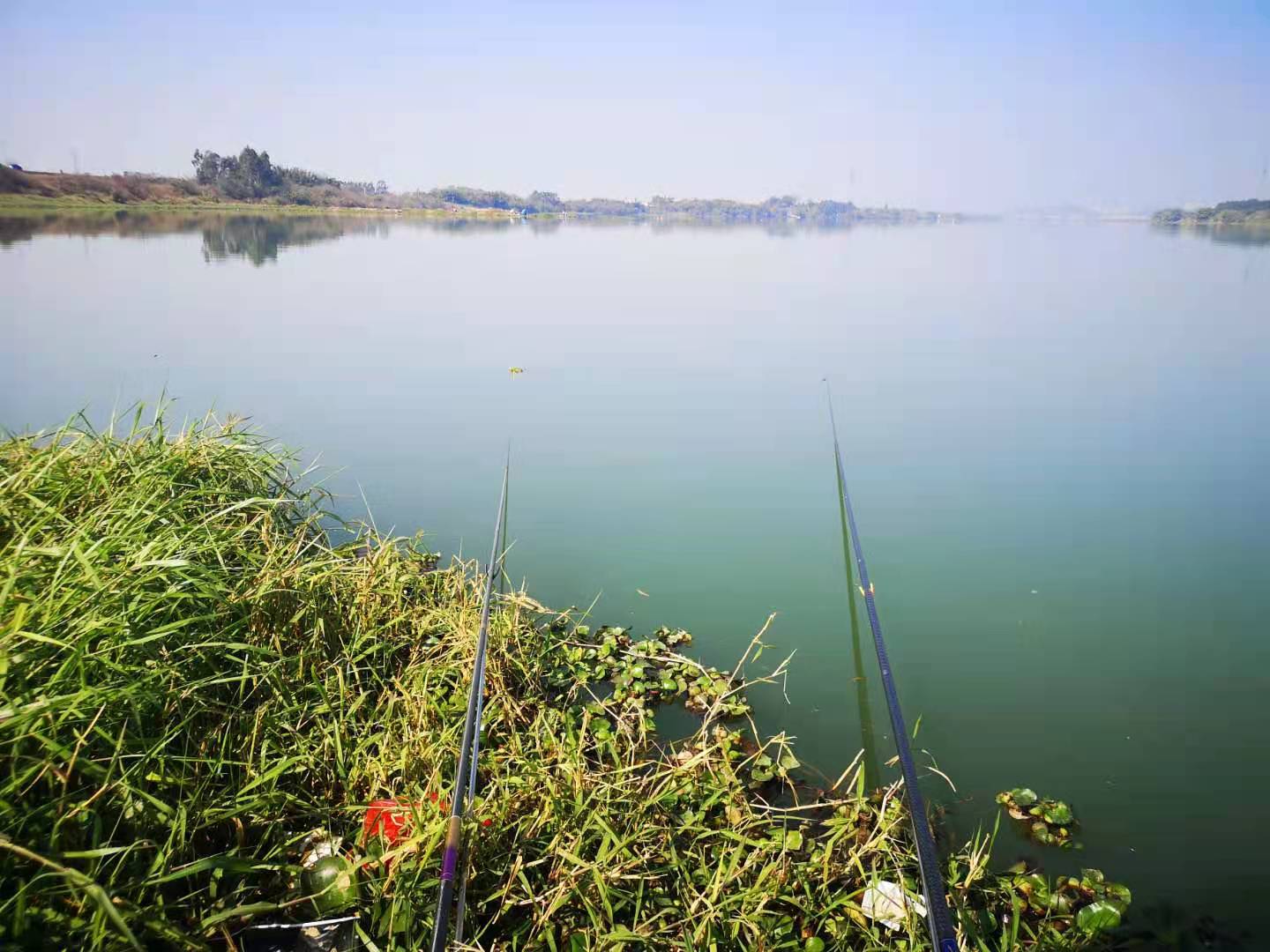 内卷|钓鱼人也内卷？相互竞争激烈，连老钓友都如此奋斗