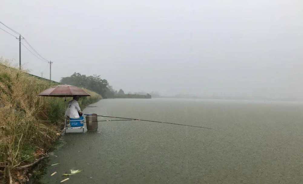 |暴雨涨水好钓鱼？别轻易相信，老司机倾情透露这几点，别再错过了