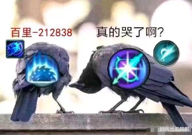 鲸鱼|剑网三：剑气之争打了12年！隔壁鲸螺却在贴贴，为何反差这么大？