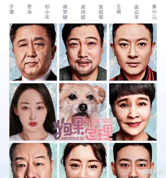 狗果定理|《狗果定理》惨遭滑铁卢，不足1万元的票房为什么评价这么低