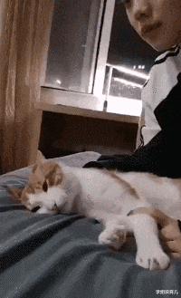 学姐说育儿|“记得以前背书的时候是登黄鹤楼,怎么变成鹳雀楼了”