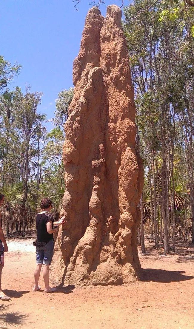 火山喷发 17个让人震撼的自然界真实场景，最后那座房屋是真实的吗？