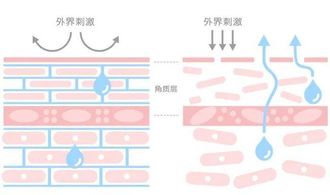 面膜 入秋后皮肤多干燥？学会这几个护肤要点，皮肤水润还有光泽