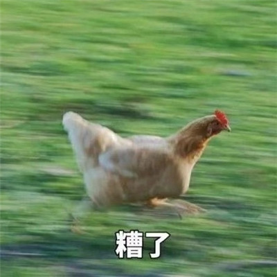 表情包|表情包：作业还没写完表情包可爱一套