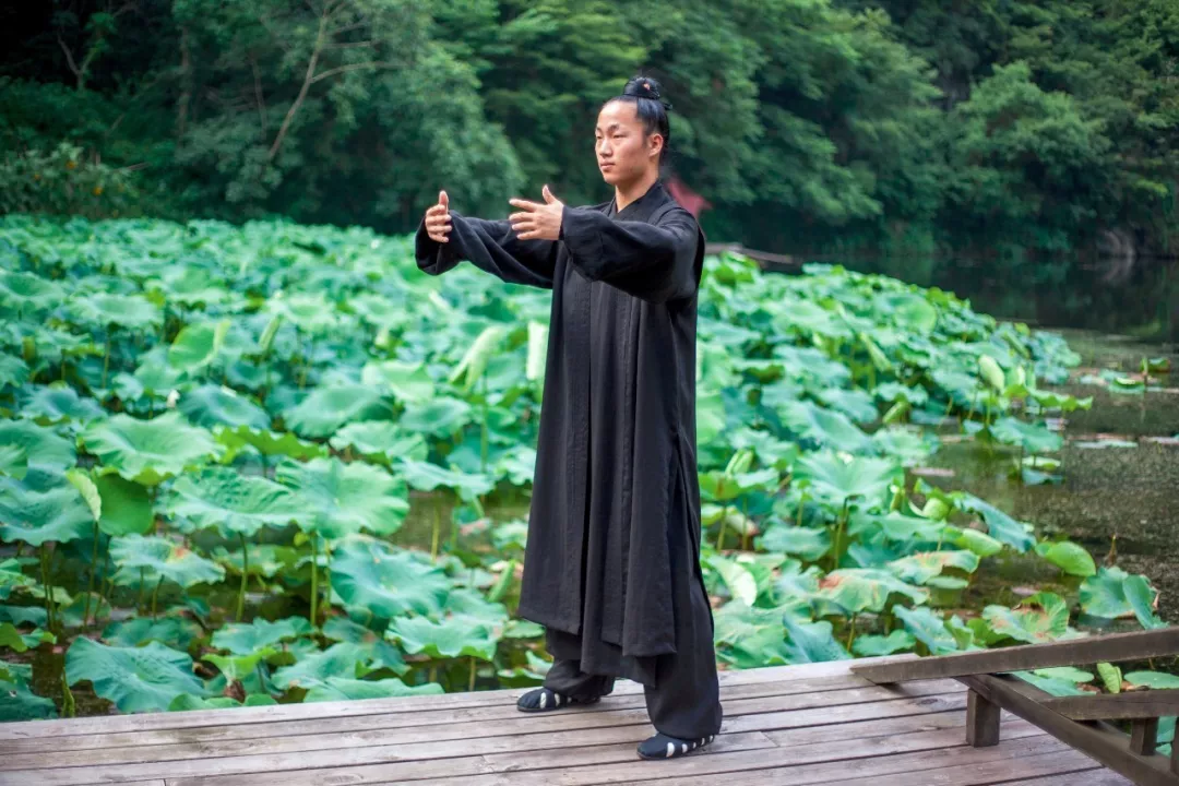 经络|“站桩功”的妙处你体会过吗?站立不动姿如树,遍体气血任流行!