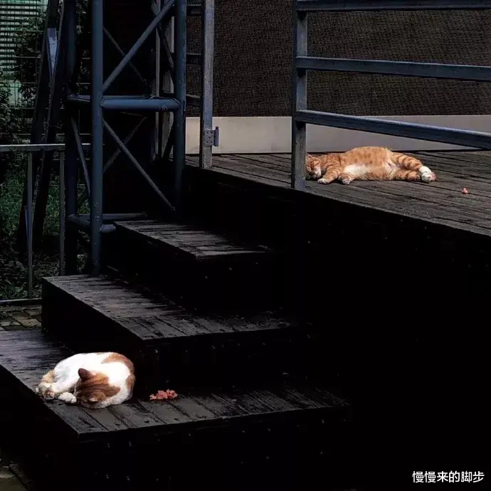 慢慢来的脚步|适当的去选择最让自己开心的生活方式，不要躺平
