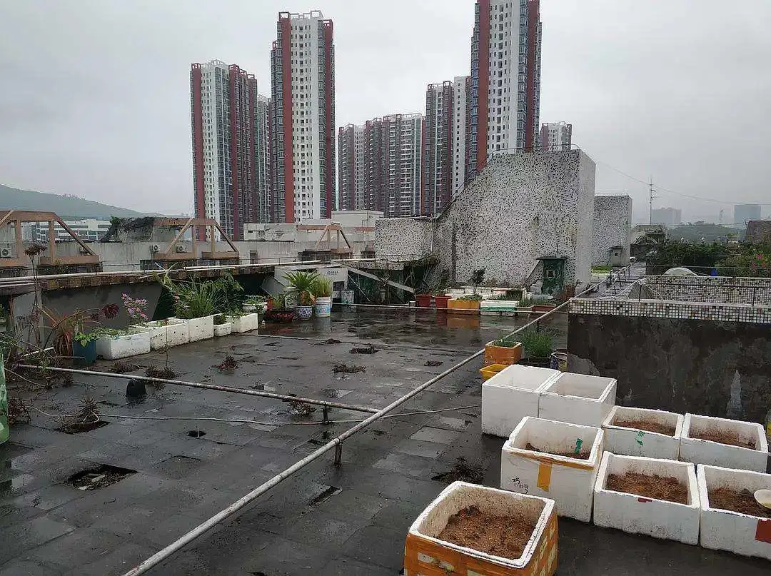 炒房|荒废的屋顶，改造后成这样，网友：太值了