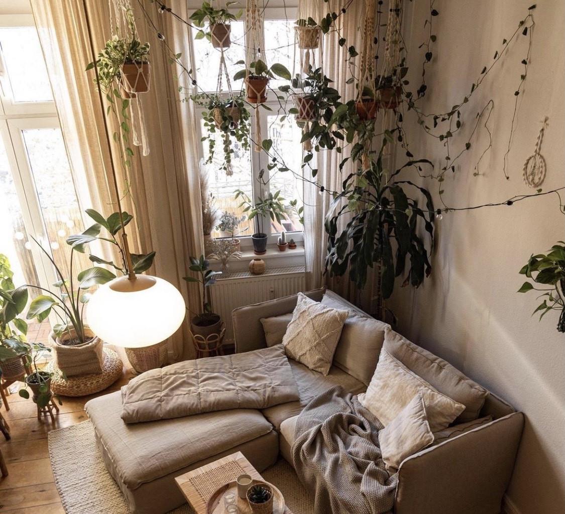 柏林女主的精致一人居:全屋被绿植包围,温暖治愈,超有格调!