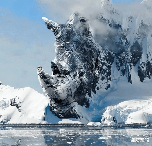 赛亚人|源自大自然的cosplay，大山、小岛化身动物，你都看得出来吗？