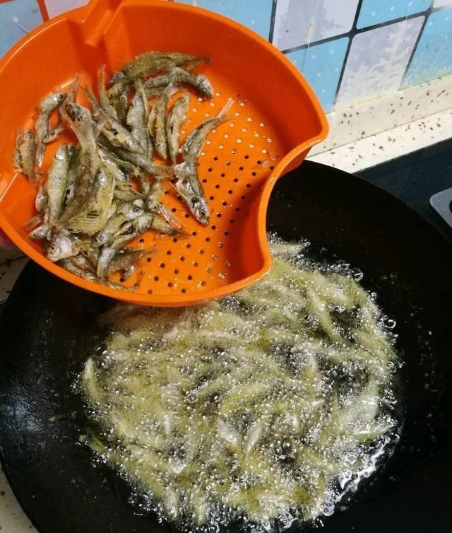 麦穗|南通钓鱼人在野河钓起上百条麦穗鱼，钓鱼人：多得让人头疼