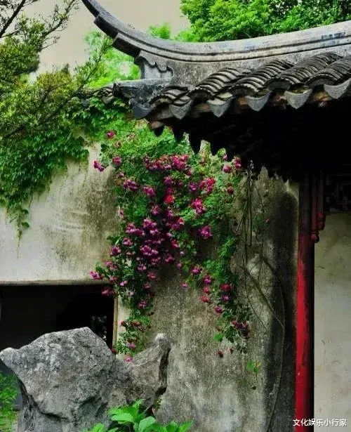 万科|愿有一方小院，让心灵栖居