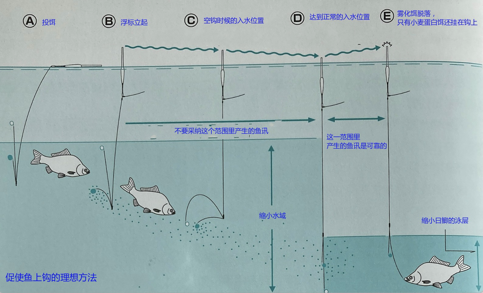 饵料|[ 日本鲫鱼钓 ] 宙钓法之鱼讯判断，日本专业钓鱼书籍介绍