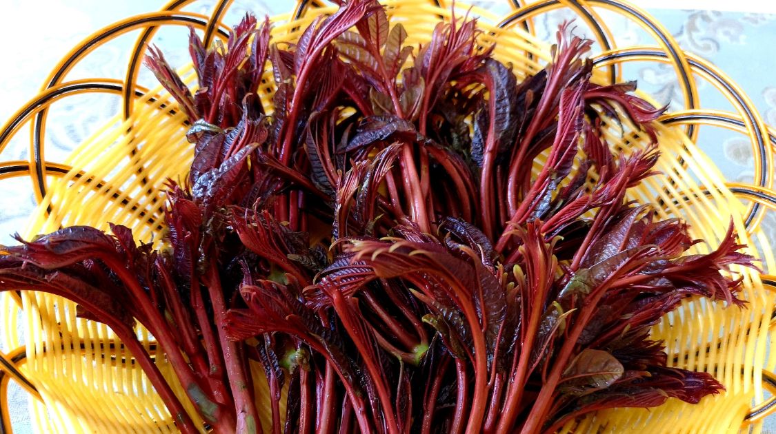 高血压|医生提示：血压偏高的人，除了减少盐分摄入量，还要少吃3种素食