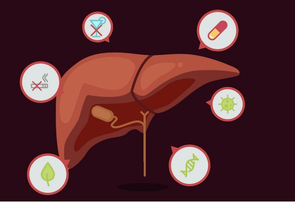胆固醇|高胆固醇的“发物”不是蛋黄，平时尽量少吃，尤其别再当补品食用