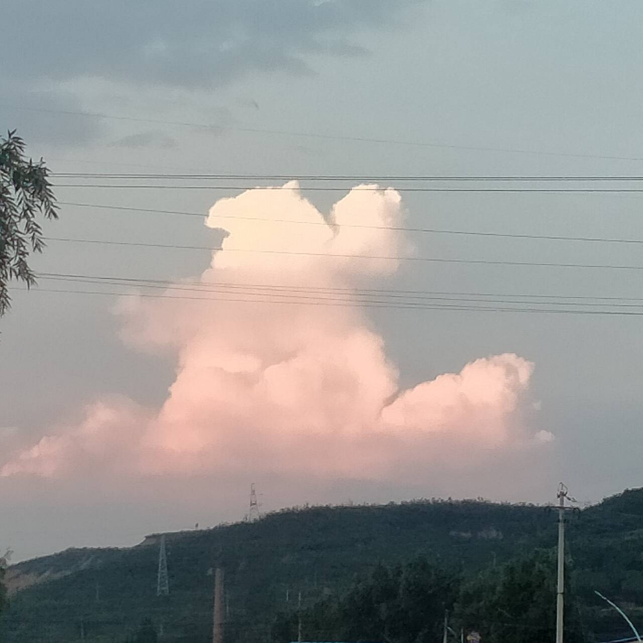 遨游 头顶的上空不是天空而是深蓝色平静的浩瀚海洋和在里面遨游的你.