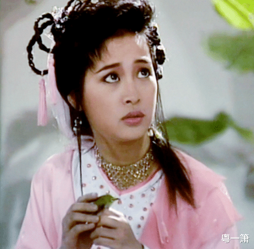 铁心兰|她既是“铁心兰”，也是“赵敏”，退圈21年她的美仍然被观众记起