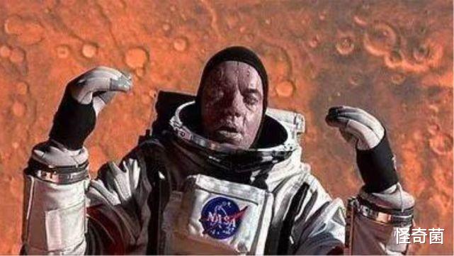 宜居星球 人类遗体落入宜居星球，会成为生命起源吗？另一种可能更让人深思