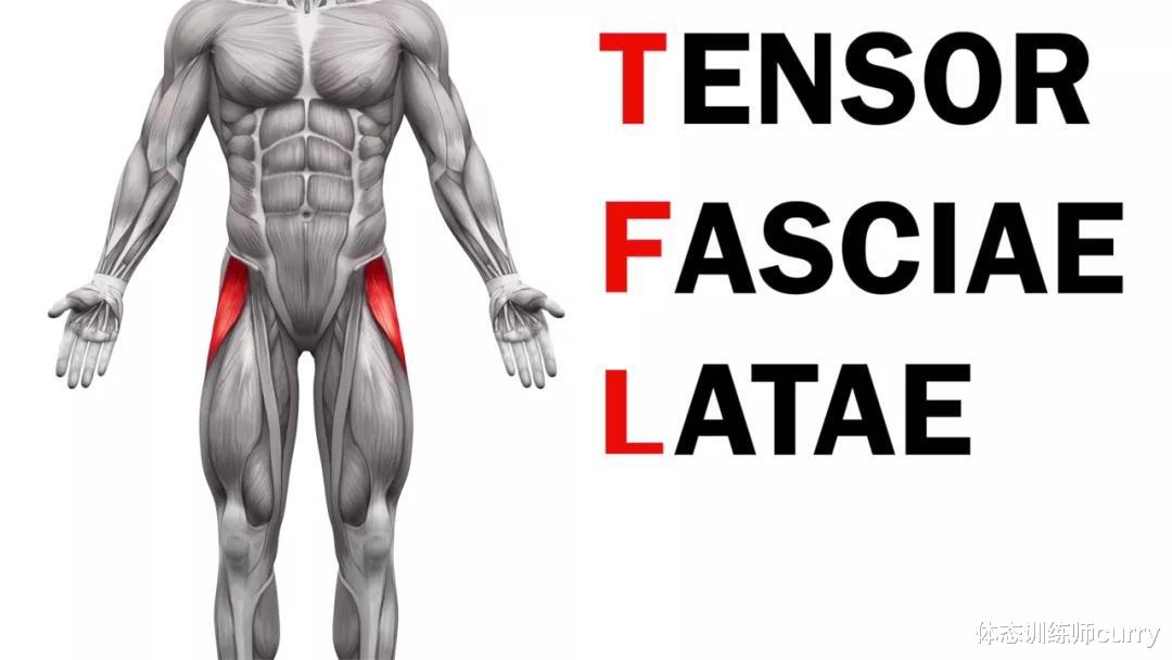 体态训练师curry|健身总是膝盖痛?那是你没练过这4个动作