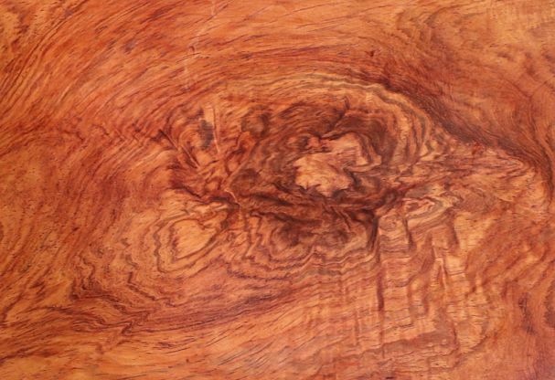 小叶紫檀|细数红木界的三大“顶流”