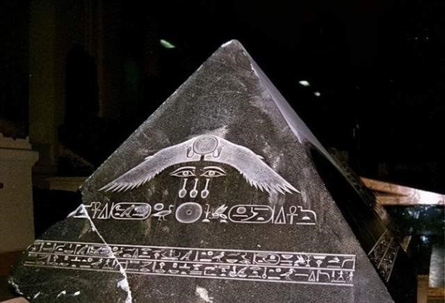 |30张活久未见的照片，鸟居然会利用诱饵钓鱼，牛全身肌肉好像怪兽