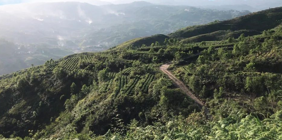 安顺直通车 工行安顺分行：融资与就业并举金融扶植特色产业