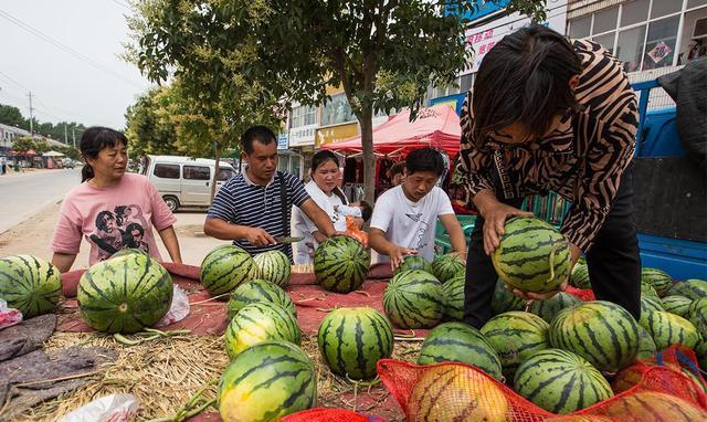 韓國遊客在中國買西瓜“遭拒”，老板：對不起，真沒辦法賣給你-圖4