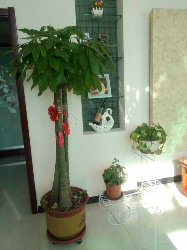 晒晒东北婆家的自建房，占地1000平，卧室大家可能没见过