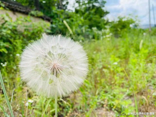 老伴儿风停夜泊聊情感|远离三种人际关系,才能真正过得好(受用的大实话)