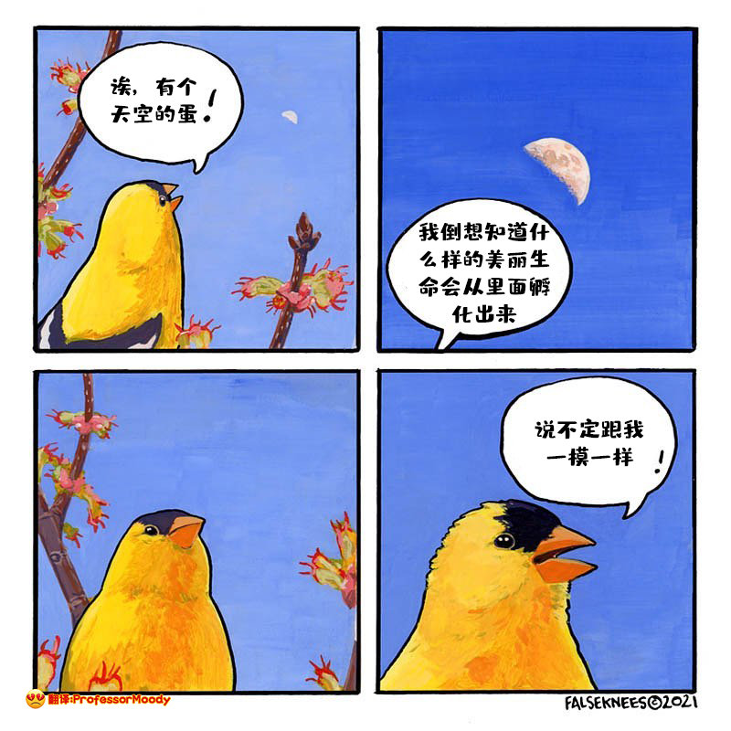 画师|“扎心”四格漫画，暗藏无厘头和哲理，“码头薯条”印象深刻