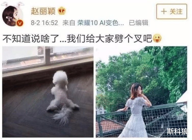 沈梦辰|沈梦辰宣布取消婚礼:“说实话,我从未想过会被他抛弃……”